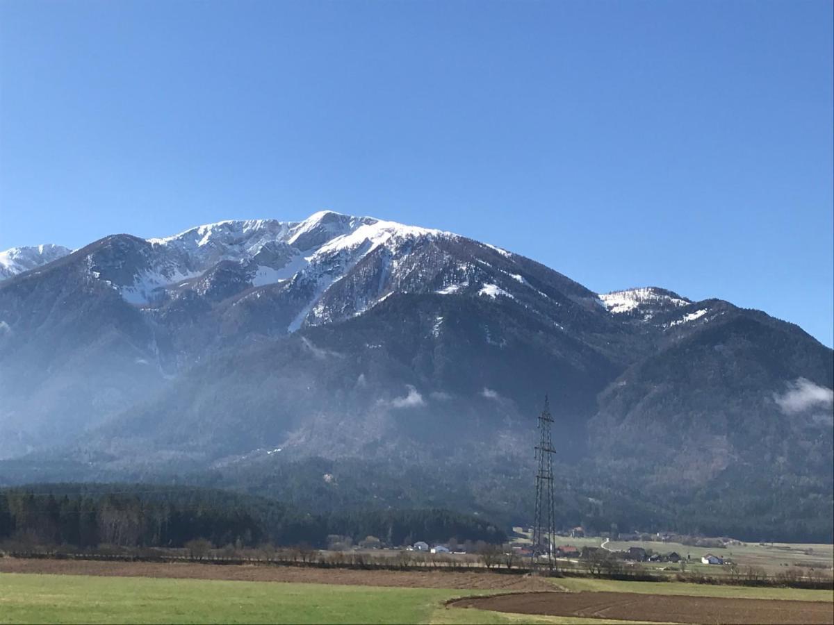 V Gemuetliches Gartenhaus Smihel nad Pliberkom Exterior foto